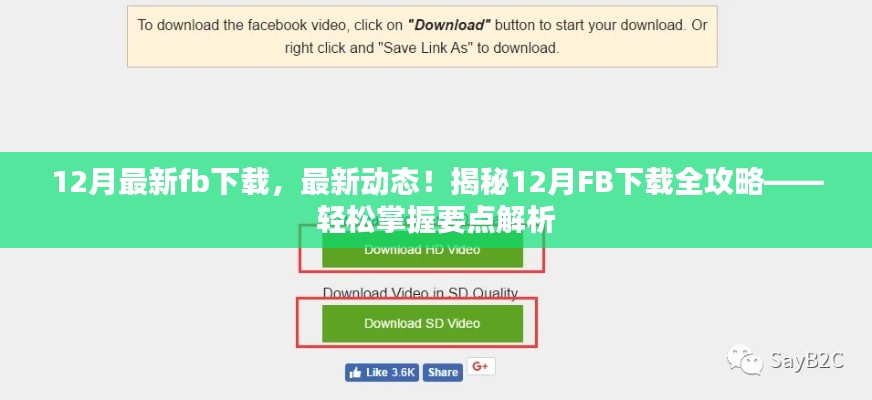 揭秘，最新動態(tài)下的FB下載全攻略，輕松掌握要點解析