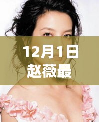 趙薇12月1日最新動態(tài)，溫馨日常與友情陪伴的故事