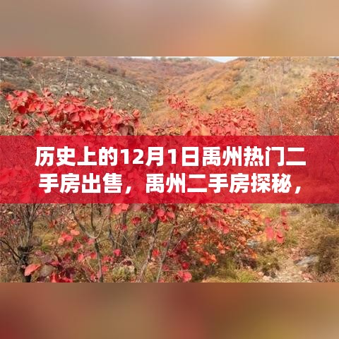 禹州二手房探秘，揭秘歷史中的熱門(mén)房源與自然美景的不期而遇