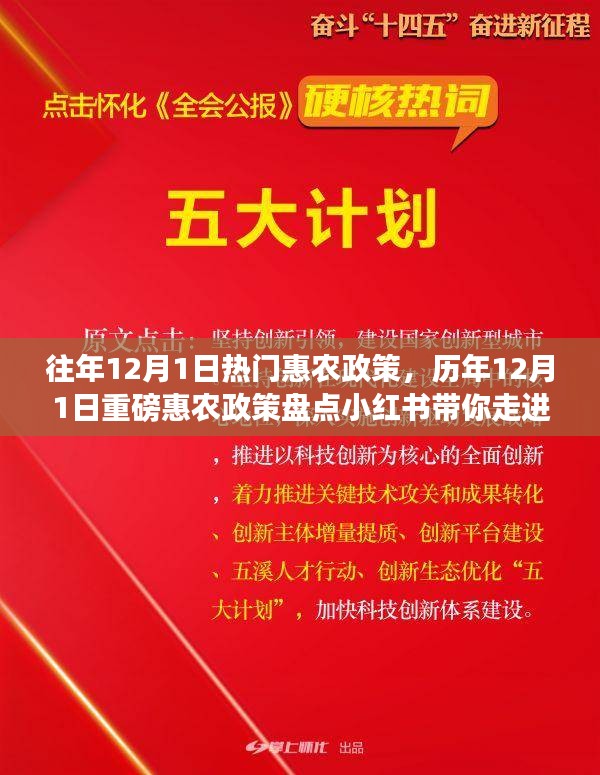 歷年12月1日惠農(nóng)政策盤點，走進(jìn)紅利時代的鄉(xiāng)村福利小紅書分享會