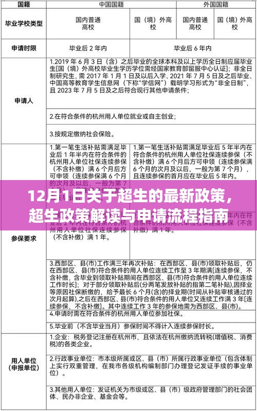 超生政策解讀與申請(qǐng)流程指南，最新政策解讀適用于初學(xué)者與進(jìn)階用戶