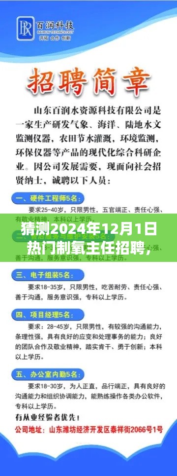 把握未來(lái)，挑戰(zhàn)熱門(mén)制氧主任崗位，2024年招聘展望與自我超越之路