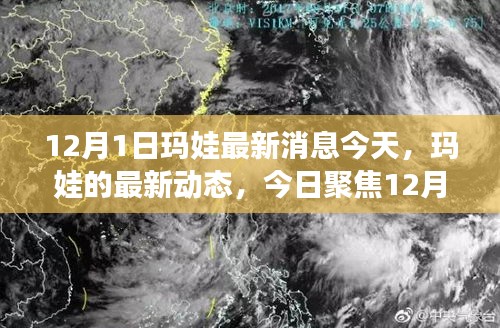 聚焦今日，瑪娃最新動態(tài) 12月1日消息