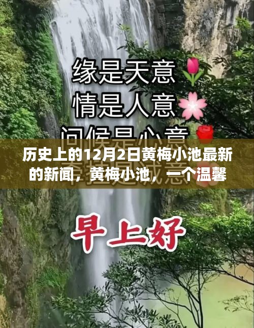 黃梅小池，溫馨日常與愛的紐帶——?dú)v史上的今天新聞回顧，12月2日的愛與陪伴故事