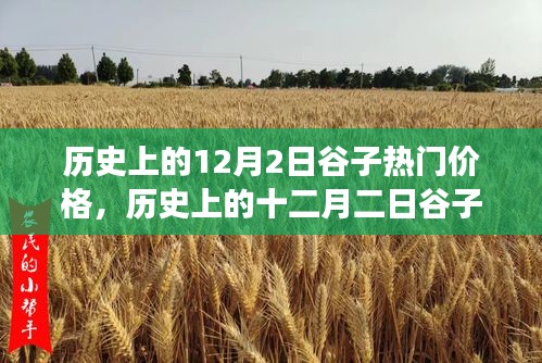 深度解析，歷史上的谷子熱門價(jià)格變遷與背景事件影響——十二月二日的回顧與剖析