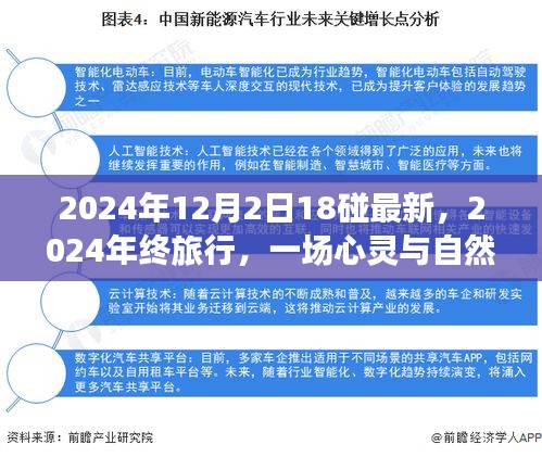 心靈與自然的碰撞，2024年終旅行記