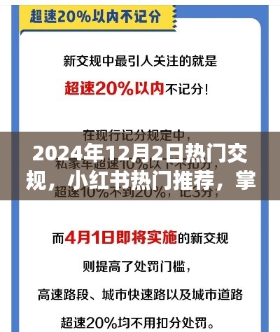 2024年交規(guī)新動態(tài)與熱門推薦，小紅書指南助你出行必備