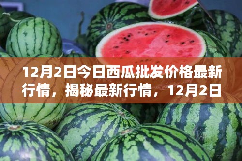 揭秘最新行情，深度解析12月2日西瓜批發(fā)價(jià)格走勢及最新行情