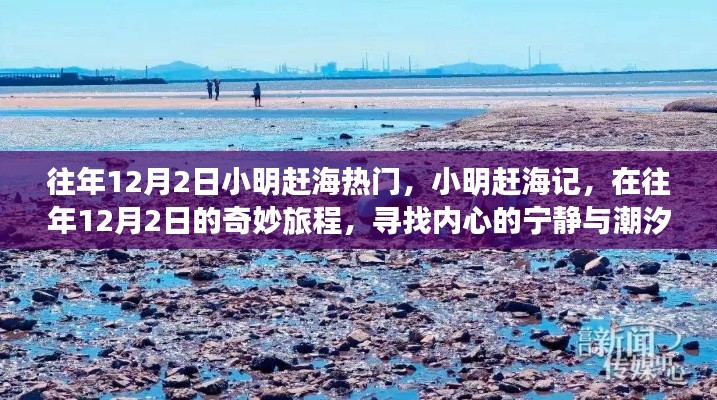 小明趕海記，尋找潮汐之聲與內(nèi)心的寧靜之旅