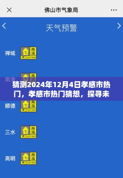 探尋孝感市未來魅力風采，2024年12月4日熱門猜想與風采展望