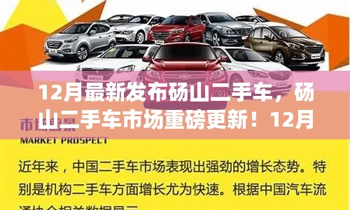 碭山二手車市場最新發(fā)布，12月車輛大全，優(yōu)質(zhì)二手車任你選