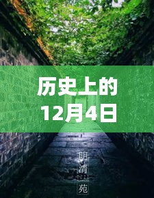 歷史上的12月4日潁上易景售樓盛況揭秘，巷陌間的夢(mèng)幻售樓空間獨(dú)特記憶