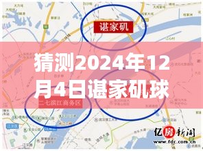 諶家磯球場最新動態(tài)展望，未來賽事猜想（2024年12月4日）