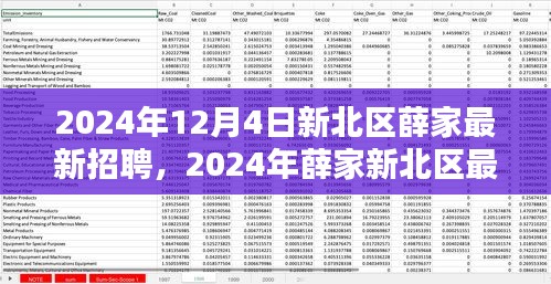 2024年新北區(qū)薛家最新招聘全攻略，適合初學(xué)者與進(jìn)階用戶的應(yīng)聘指南