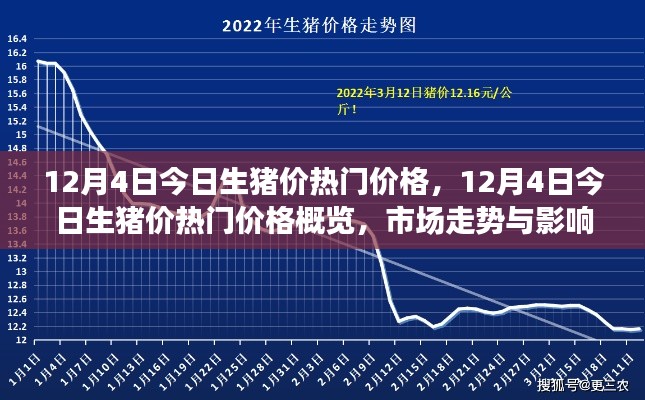 12月4日生豬價(jià)熱門概覽，深度解析市場(chǎng)走勢(shì)與影響因素