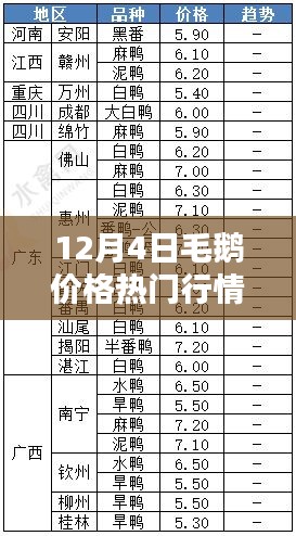 12月4日毛鵝價格行情深度解析