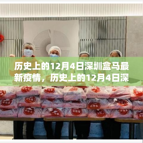 歷史上的12月4日深圳盒馬疫情事件深度解析與最新動態(tài)回顧