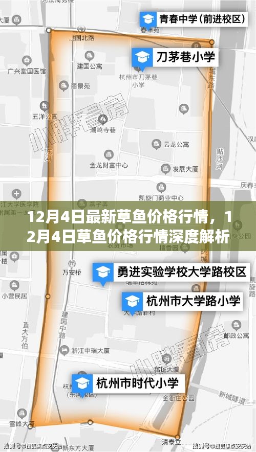 12月4日草魚價格行情解析，市場走勢、影響因素及選購指南