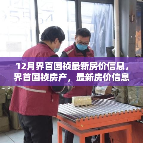 界首國禎房產最新房價深度評測與介紹