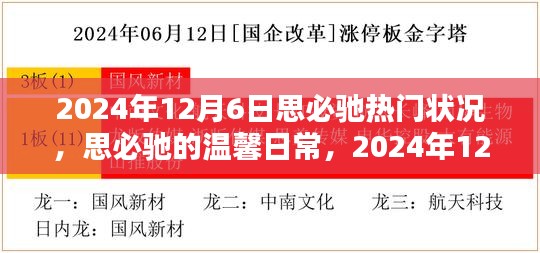 思必馳溫馨日常，揭秘2024年12月6日的奇妙時光