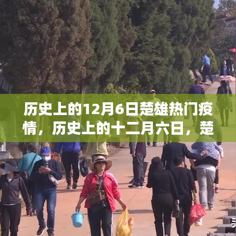 歷史上的十二月六日，楚雄疫情風(fēng)云變遷回顧