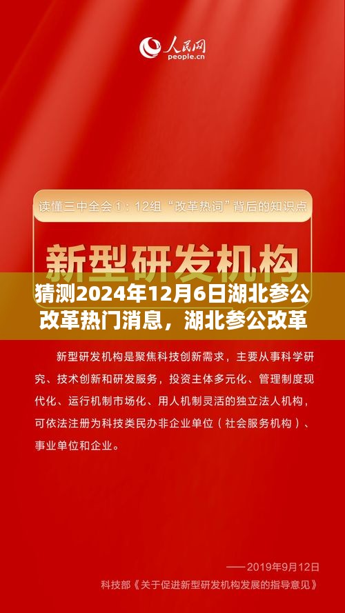 湖北參公改革展望，深度解析熱門消息，預(yù)測(cè)未來(lái)趨勢(shì)至2024年12月6日