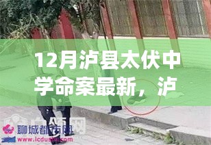 瀘縣太伏中學命案最新科技進展，智能安防系統(tǒng)重塑校園安全新篇章