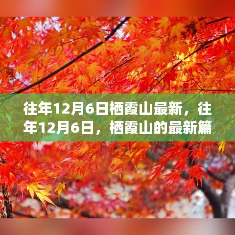 往年12月6日棲霞山深度解析，歷史、事件與地位的新篇章