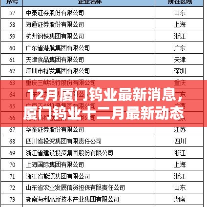 廈門鎢業(yè)十二月最新動態(tài)概覽，最新消息概覽