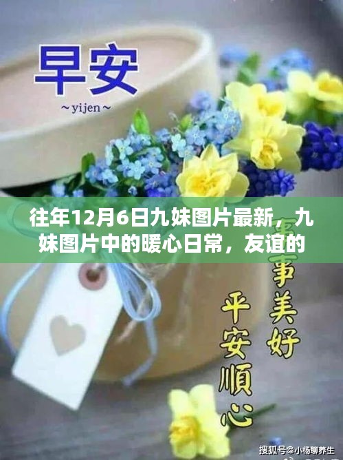 往年12月6日九妹圖片回顧，暖心日常與友誼的溫馨回憶