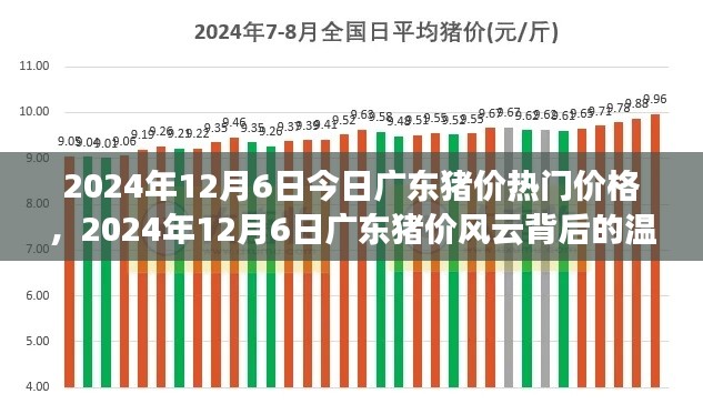 廣東豬價(jià)風(fēng)云背后的溫情故事，最新價(jià)格動(dòng)態(tài)與深度解讀