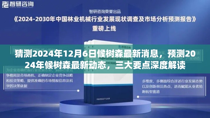 揭秘候樹森最新動態(tài)，三大要點深度解讀預測未來消息（2024年12月6日）