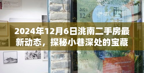 探秘洮南小巷寶藏，揭秘二手房市場最新動態(tài)與獨特小店的奇遇記（最新資訊，2024年12月6日）