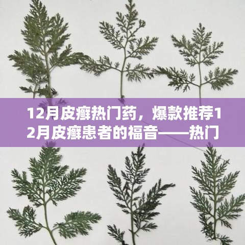 12月皮癬熱門藥物大盤點(diǎn)，爆款推薦與患者的福音