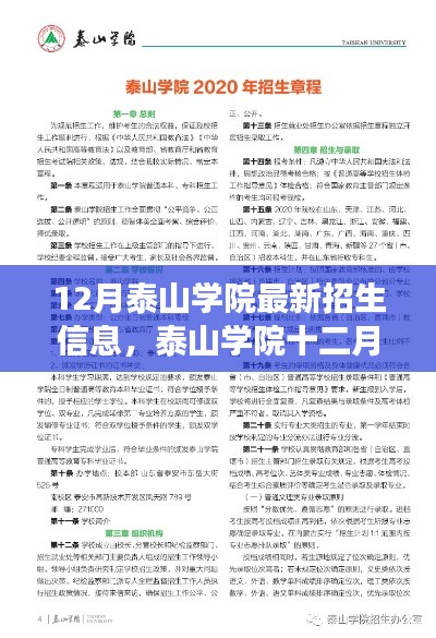 泰山學院最新招生信息解讀與觀點闡述（十二月版）