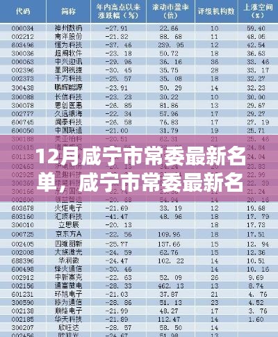 12月咸寧市常委最新名單，咸寧市常委最新名單科技新品亮相，智能時代，革新未來體驗