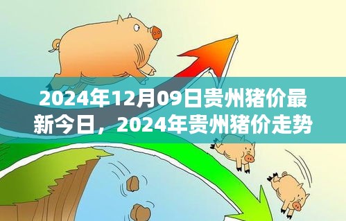 2024年貴州豬價走勢分析與深度探討，最新今日豬價及未來趨勢