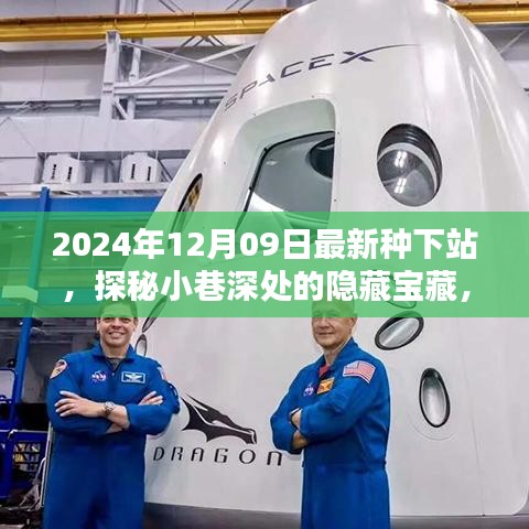 探秘最新種下站，小巷深處的隱藏寶藏與特色小店推薦（2024年12月09日）