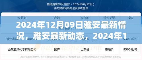 雅安最新動(dòng)態(tài)深度觀察，2024年12月09日最新情況報(bào)告