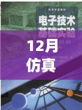 仿真之路，實時啟航，迎接自信與成就感的魔法時刻——十二月仿真需求解析