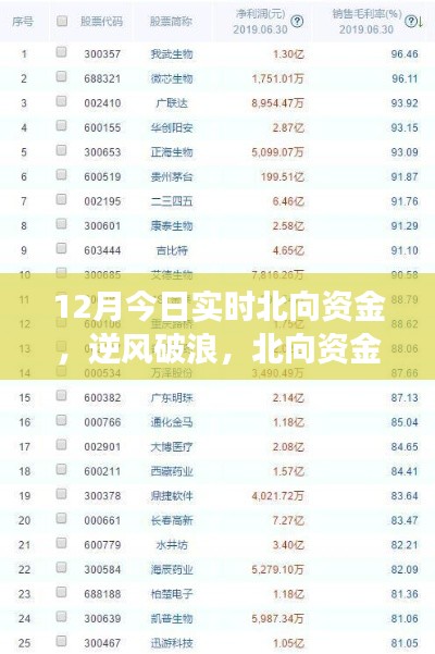 北向資金啟示下的成長奇跡，12月實時洞察，自信成就夢想之旅