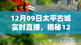 揭秘太平古城直播日，巷弄深處的獨(dú)特小店與探秘之旅