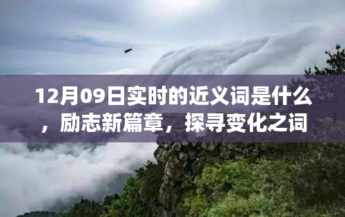 12月09日實(shí)時(shí)近義詞探索與勵(lì)志新篇章，探尋詞匯魔力，學(xué)習(xí)鑄就自信成就之橋