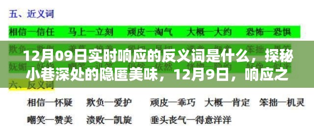 探秘實(shí)時響應(yīng)反義詞與小巷深處的隱匿美味，12月9日的探索之旅