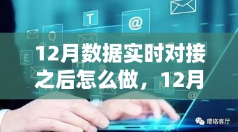 12月數(shù)據(jù)實時對接后的策略指南，多方考量與行動步驟