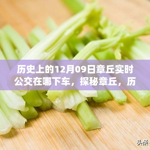 探秘章丘，歷史深處的公交軌跡與小巷美食寶藏——12月9日實時公交指南