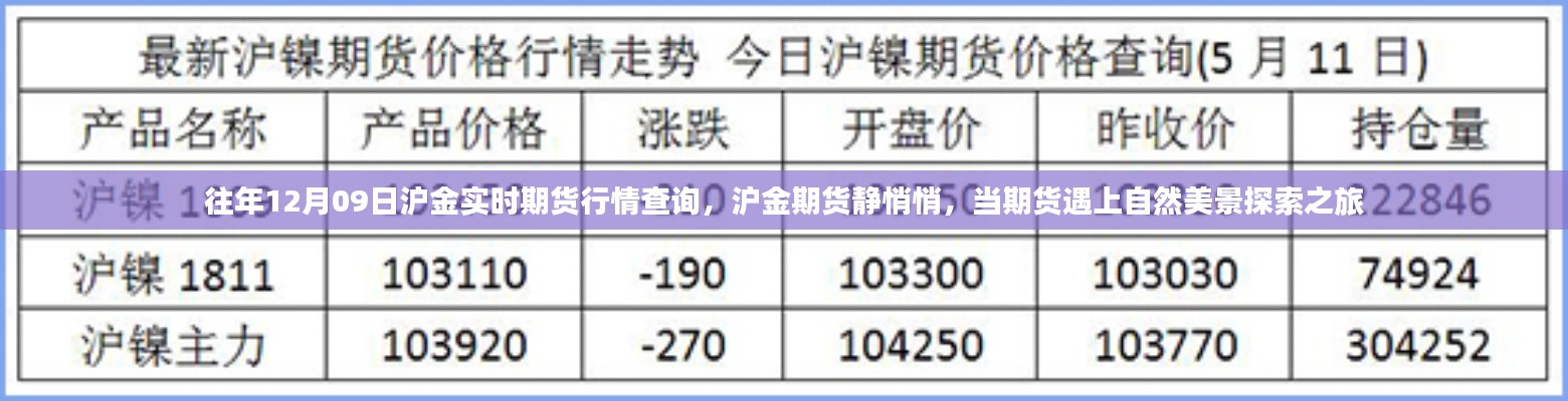 往年12月09日滬金期貨行情解析，靜謐市場與美景探索之旅