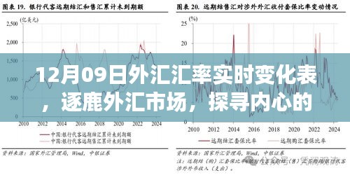 揭秘外匯市場風(fēng)云變幻，探尋匯率背后的故事——12月09日外匯匯率實時變化表解析