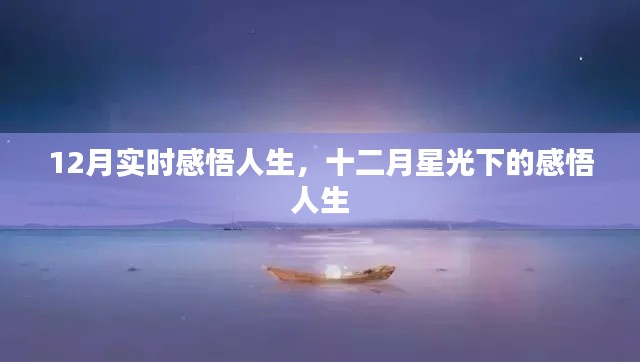 十二月星光下的實時人生感悟