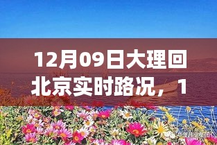 12月9日大理歸途，實(shí)時(shí)路況與心靈歸航的旅程故事